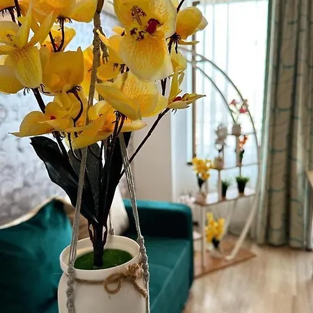 公寓 Summer Clubs *