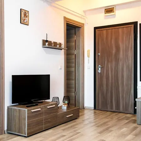 Summer Clubs 马马亚